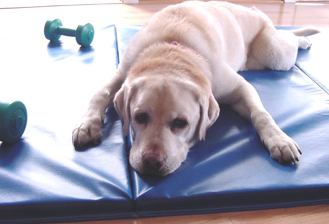 Gym Mat
